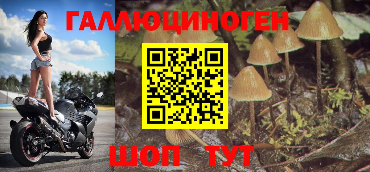 Галлюциногенные грибы Magic Shrooms  Вход с VPN  Карталы 