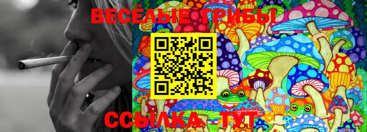 Галлюциногенные грибы прущие грибы Карталы