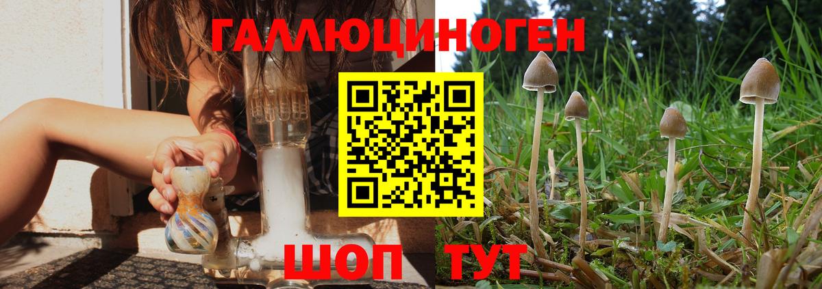 Галлюциногенные грибы Cubensis Карталы